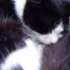 Файл=sleep.jpg
Объём=125KB
Размеры=700x700
Дата=Окт 16, 2008 sleep.jpg