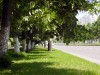 Файл=street.jpg
Объём=209KB
Размеры=800x600
Дата=Май 26, 2008 street.jpg