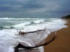 Файл=var_beach.jpg
Объём=317KB
Размеры=1067x800
Дата=Июнь 25, 2007 var_beach.jpg