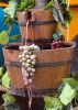 Файл=vino.jpg
Объём=146KB
Размеры=600x841
Дата=Сент 28, 2009 vino.jpg