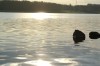 DSC01148.jpg