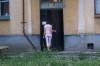 DSC01178.jpg