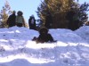 Файл=DSCF0168.JPG
Объём=838KB
Размеры=1321x981
Дата=Фев 20, 2006 DSCF0168.JPG