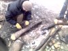 Файл=17-03-06_0946.jpg
Объём=58KB
Размеры=640x480
Дата=Март 26, 2006 17-03-06_0946.jpg