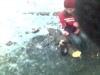 Файл=17-03-06_1236.jpg
Объём=54KB
Размеры=640x480
Дата=Март 26, 2006 17-03-06_1236.jpg