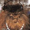 Файл=514_d0d70e27ad_213_180_204_25_104814.gif
Объём=211KB
Размеры=280x280
Дата=Авг 24, 2006 514_d0d70e27ad_213_180_204_25_104814.gif