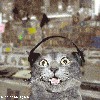 Файл=514_d0d70e27ad_213_180_204_25_104821.gif
Объём=234KB
Размеры=280x280
Дата=Авг 24, 2006 514_d0d70e27ad_213_180_204_25_104821.gif