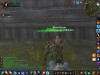 WoWScrnShot_020607_130804.jpg