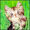 Файл=147.jpg
Объём=6KB
Размеры=100x100
Дата=Май 01, 2006 147.jpg