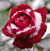 Файл=avatar122.gif
Объём=18KB
Размеры=98x100
Дата=Май 01, 2006 avatar122.gif