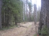 Файл=P1011484.JPG
Объём=958KB
Размеры=2288x1712
Дата=Май 09, 2012 P1011484.JPG