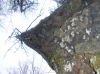 Файл=P1011485.JPG
Объём=774KB
Размеры=2288x1712
Дата=Май 09, 2012 P1011485.JPG