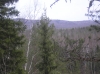 Файл=P1011487.JPG
Объём=693KB
Размеры=2288x1712
Дата=Май 09, 2012 P1011487.JPG