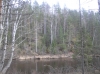 Файл=P1011489.JPG
Объём=881KB
Размеры=2288x1712
Дата=Май 09, 2012 P1011489.JPG