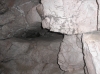 Файл=P1011496.JPG
Объём=780KB
Размеры=2288x1712
Дата=Май 09, 2012 P1011496.JPG