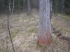 Файл=P1011507.JPG
Объём=657KB
Размеры=2288x1712
Дата=Май 09, 2012 P1011507.JPG