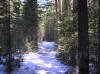 Файл=P5050795.JPG
Объём=653KB
Размеры=2288x1712
Дата=Май 06, 2006 P5050795.JPG