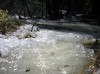 Файл=P5050797.JPG
Объём=694KB
Размеры=2288x1712
Дата=Май 06, 2006 P5050797.JPG