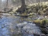 Файл=P5100966.JPG
Объём=454KB
Размеры=1600x1200
Дата=Май 15, 2008 P5100966.JPG