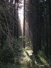 Файл=P6240830.JPG
Объём=410KB
Размеры=1200x1600
Дата=Март 09, 2007 P6240830.JPG