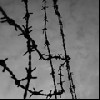 Файл=Зона.gif
Объём=22KB
Размеры=120x120
Дата=Апр 28, 2007 Зона.gif
