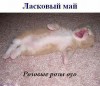 Файл=4.jpg
Объём=58KB
Размеры=500x431
Дата=Дек 12, 2007 4.jpg