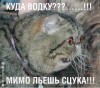 Файл=b_h213510.jpg
Объём=145KB
Размеры=1200x1059
Дата=Окт 22, 2007 b_h213510.jpg