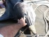 Файл=!cid_002201c4a1a4_c6ece960_bde6fea9@alexander.jpg
Объём=42KB
Размеры=800x600
Дата=Июнь 22, 2006 !cid_002201c4a1a4_c6ece960_bde6fea9@alexander.jpg