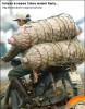 Файл=170306_19.jpg
Объём=130KB
Размеры=380x484
Дата=Июль 21, 2006 170306_19.jpg