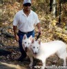 Файл=DOGPHOTO.JPG
Объём=44KB
Размеры=362x373
Дата=Авг 09, 2006 DOGPHOTO.JPG