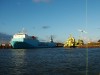 Файл=DSCF0109.JPG
Объём=33KB
Размеры=800x600
Дата=Июнь 22, 2006 DSCF0109.JPG
