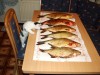 Файл=DSCF7512.JPG
Объём=45KB
Размеры=800x600
Дата=Июнь 22, 2006 DSCF7512.JPG