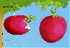 Файл=PIC06334.GIF
Объём=174KB
Размеры=384x268
Дата=Окт 13, 2006 PIC06334.GIF