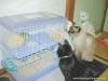 Файл=PIC15486.JPG
Объём=35KB
Размеры=443x333
Дата=Окт 13, 2006 PIC15486.JPG