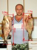 Файл=Ribka.JPG
Объём=51KB
Размеры=600x800
Дата=Июнь 22, 2006 Ribka.JPG