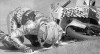 Файл=motorrad.jpg
Объём=25KB
Размеры=543x295
Дата=Окт 13, 2006 motorrad.jpg