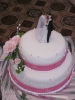 IMG_11_11_11_11__11_.jpg