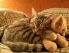 nahodki-1154136730_i_6109_full.jpg