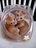 nahodki-1154136737_i_3713_full.jpg