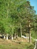 Файл=PICT0043.JPG
Объём=790KB
Размеры=1200x1600
Дата=Июль 14, 2006 PICT0043.JPG