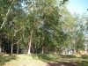 Файл=PICT0047.JPG
Объём=837KB
Размеры=1600x1200
Дата=Июль 14, 2006 PICT0047.JPG
