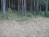 Файл=Мусор_069.jpg
Объём=189KB
Размеры=1024x768
Дата=Июль 29, 2008 Мусор_069.jpg
