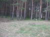 Файл=Мусор_074.jpg
Объём=189KB
Размеры=1024x768
Дата=Июль 29, 2008 Мусор_074.jpg