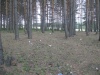 Файл=Мусор_075.jpg
Объём=204KB
Размеры=1024x768
Дата=Июль 29, 2008 Мусор_075.jpg