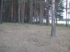 Файл=Мусор_076.jpg
Объём=180KB
Размеры=1024x768
Дата=Июль 29, 2008 Мусор_076.jpg