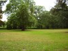Файл=P8020035.JPG
Объём=2507KB
Размеры=2272x1704
Дата=Авг 02, 2006 P8020035.JPG