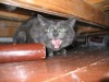 Файл=IMG_0705.jpg
Объём=1151KB
Размеры=2592x1944
Дата=Нояб 22, 2006 IMG_0705.jpg
