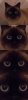 Файл=5.jpg
Объём=157KB
Размеры=319x1111
Дата=Дек 20, 2009 5.jpg