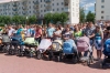 Файл=DSC00258.jpg
Объём=419KB
Размеры=1539x1024
Дата=Июнь 26, 2010 DSC00258.jpg