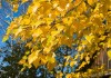 Файл=DSC00342.jpg
Объём=154KB
Размеры=787x557
Дата=Окт 01, 2006 DSC00342.jpg